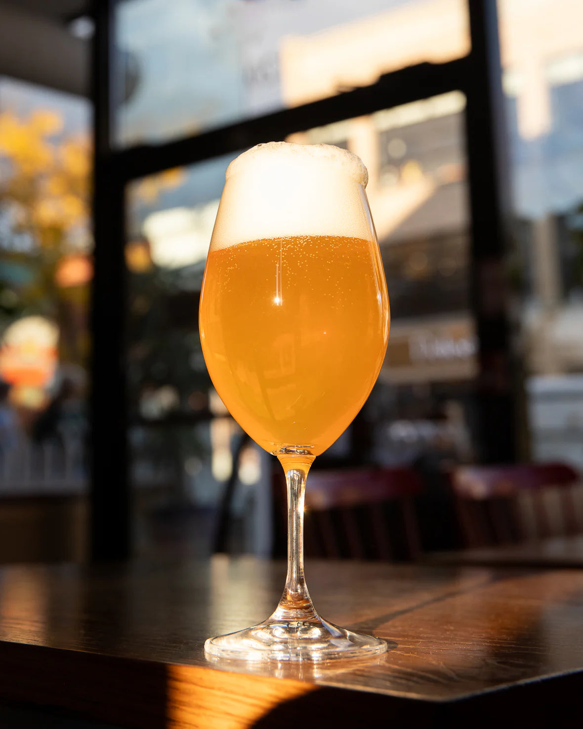 Barn Owl No. 36 5.5%