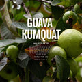 Guava Kumquat 12%