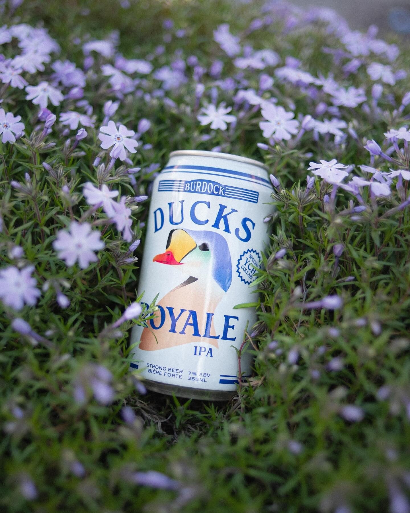 Ducks Royale 7%
