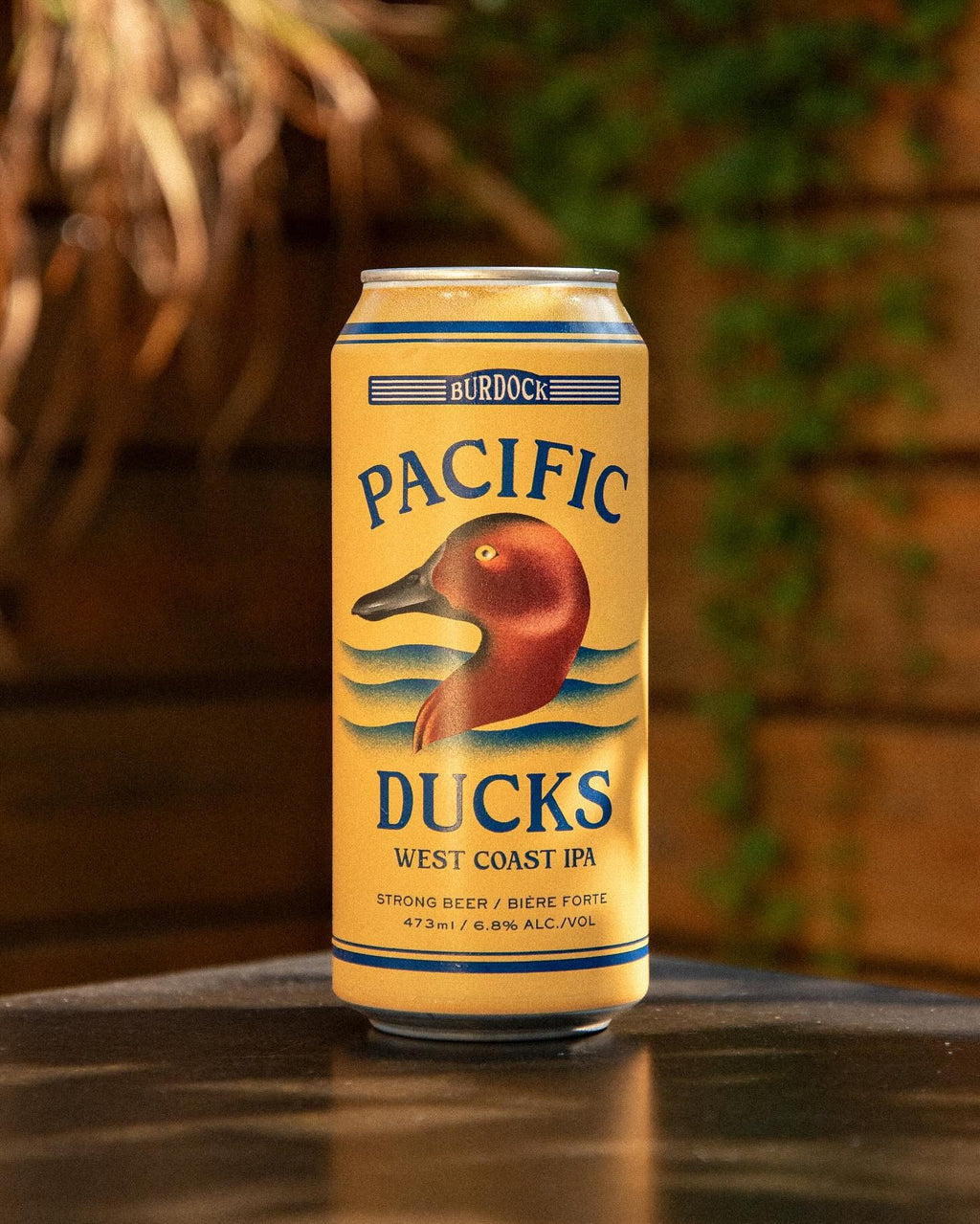 Pacific Ducks 6.8%