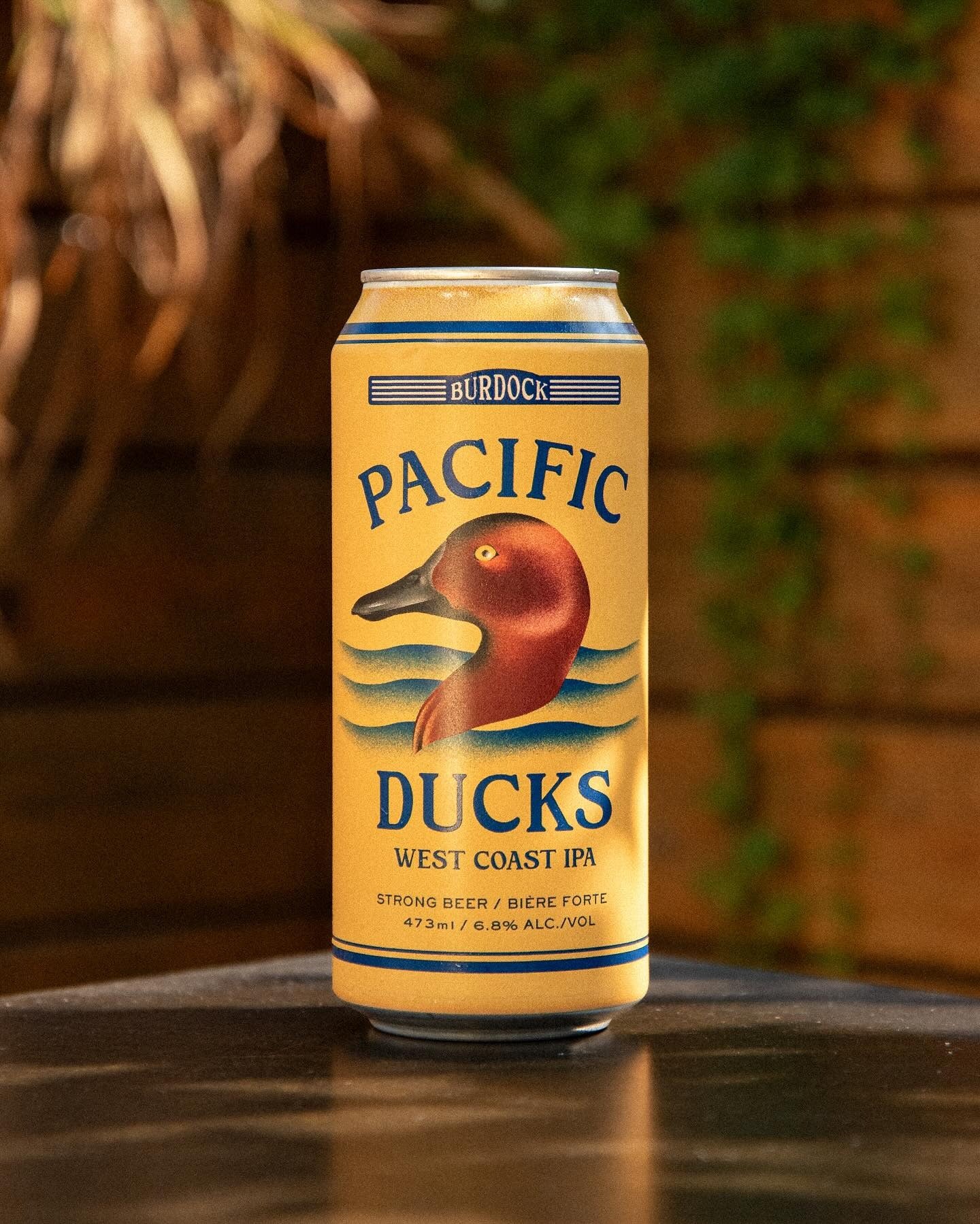 Pacific Ducks 6.8%