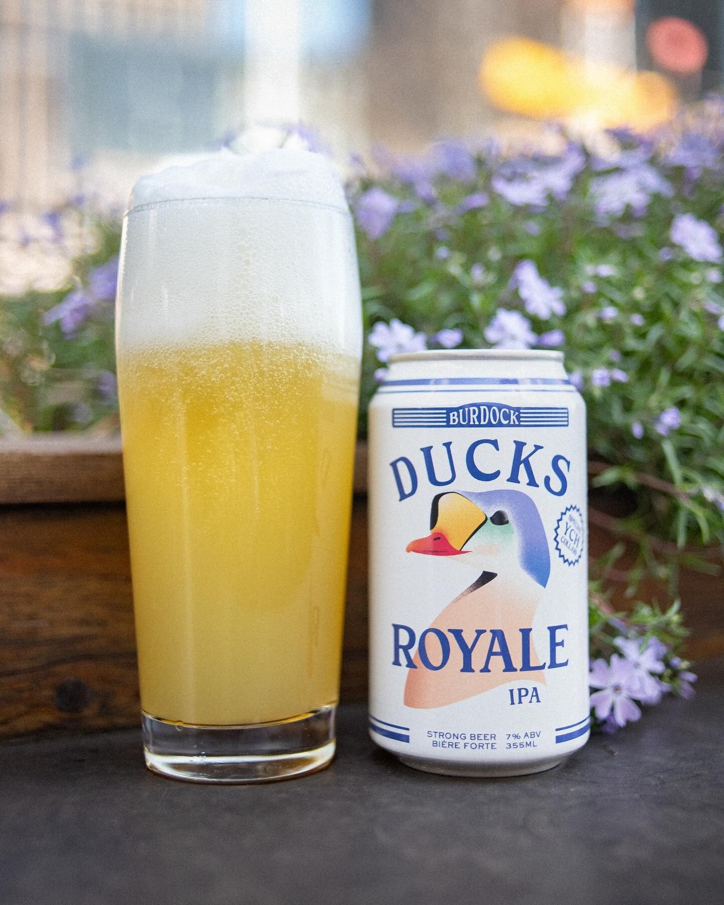 Ducks Royale 7%