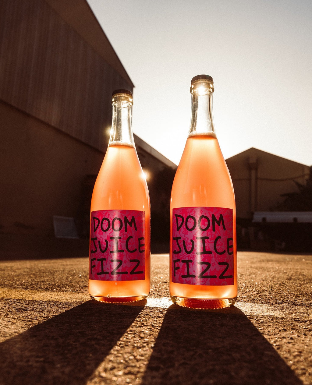 FIZZ 2024 12.7%