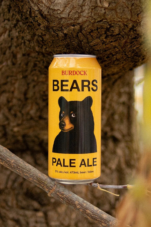 Bears 5.0%