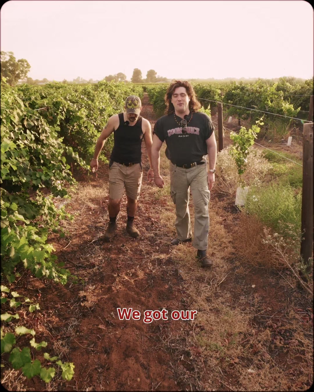ROSÉ 2024 12.4%